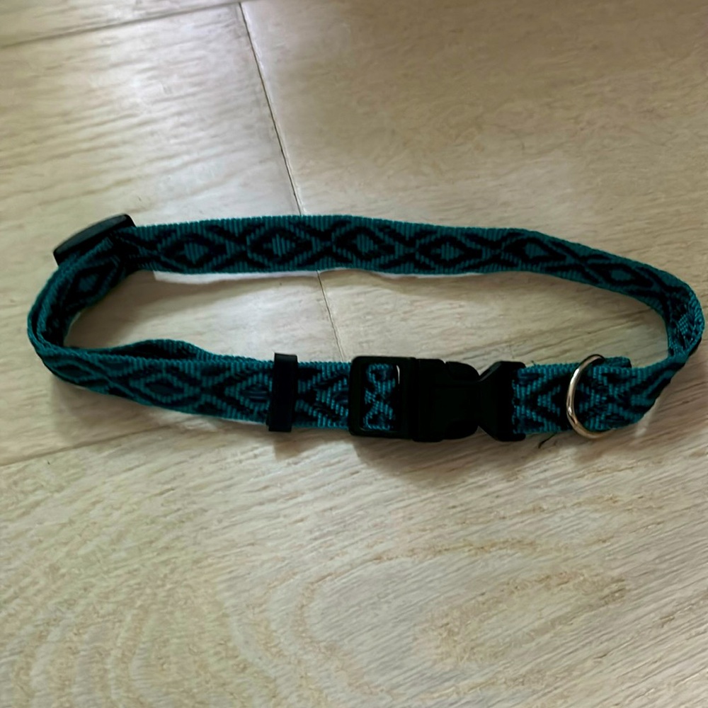 FREE!! NWOT Dog collar. Turquoise and black. From 14”-19”